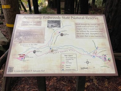 Armstrong Redwoods State Natural Reserve - Image 1