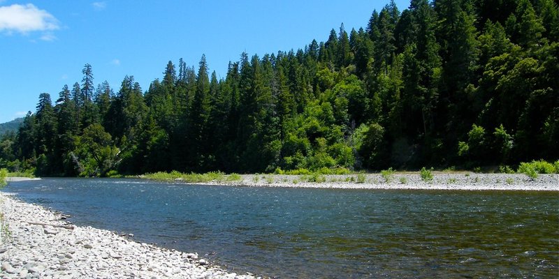 Benbow State Recreation Area hero image