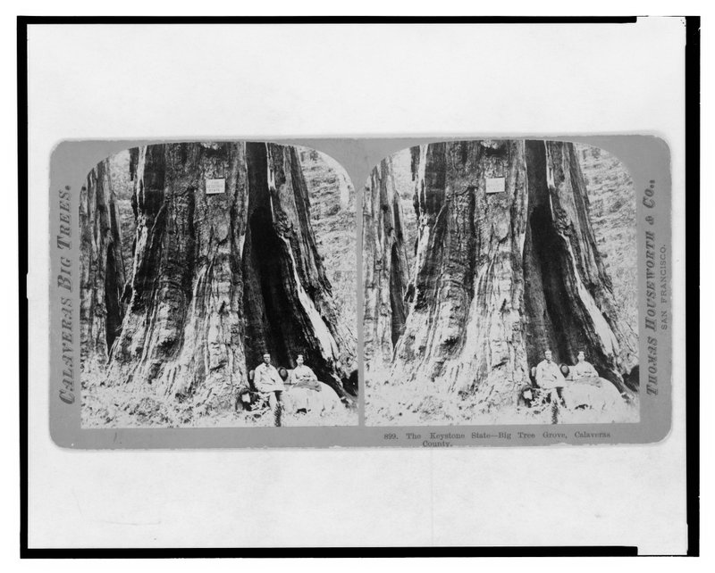 Calaveras Big Trees State Park