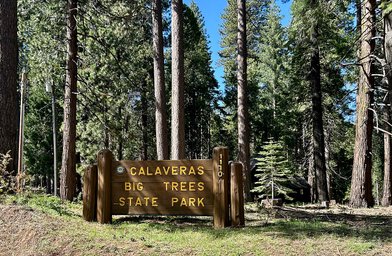 Calaveras Big Trees State Park - Image 2