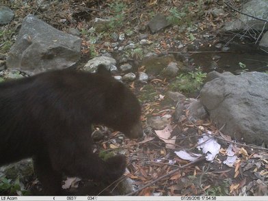 Malibu Creek State Park - Image 2