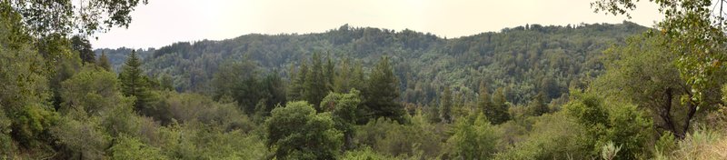Pfeiffer Big Sur State Park