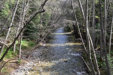 Pfeiffer Big Sur State Park