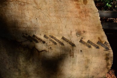 Pfeiffer Big Sur State Park - Image 2