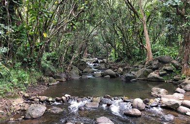 Hāʻena State Park - Image 2