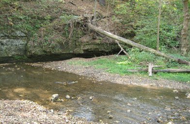 White Pines Forest State Park - Image 2