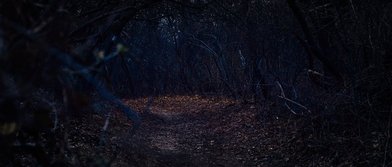 Bethpage State Park - Image 1