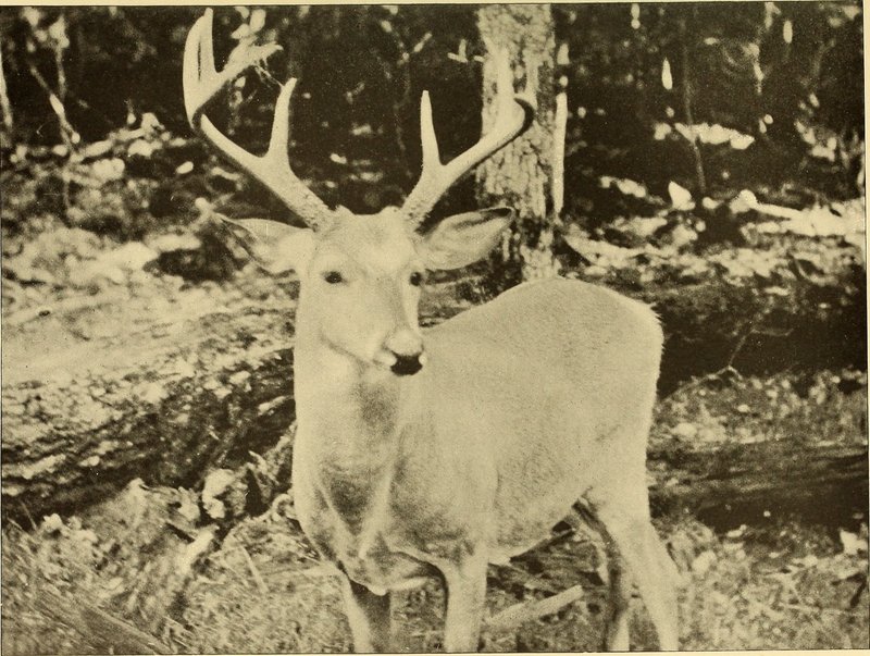 Canoe-Picnic Point State Park
