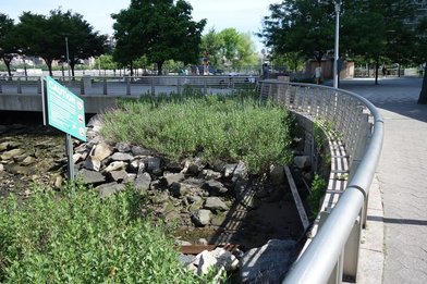 Gantry Plaza State Park - Image 2