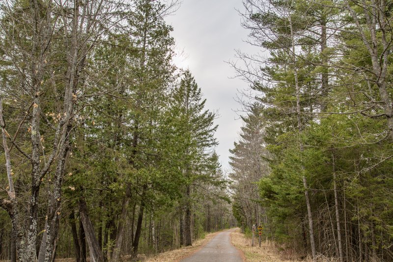 Jay State Forest and Park