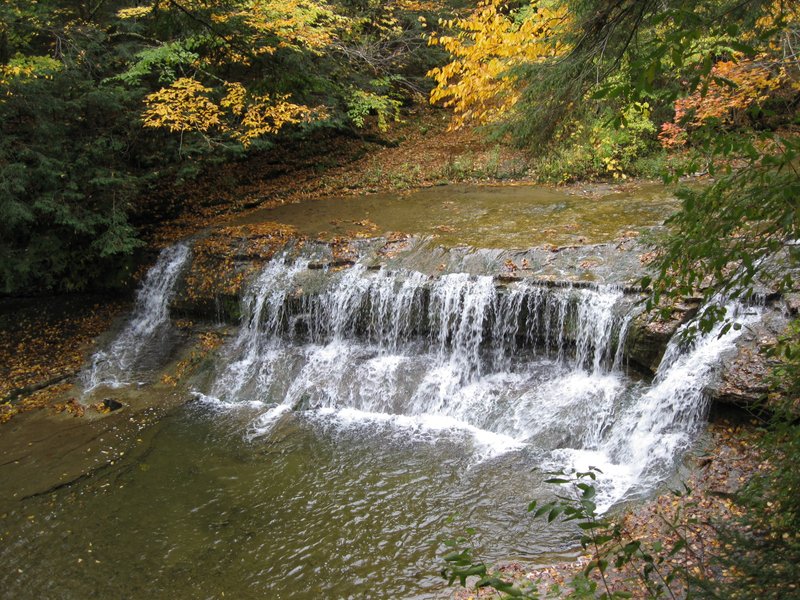 Robert H. Treman State Park