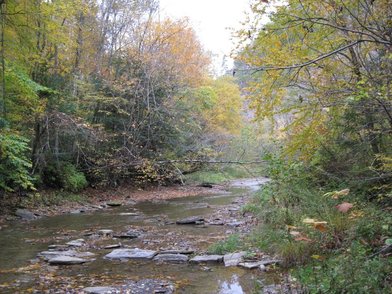 Robert H. Treman State Park - Image 2