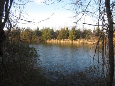 Sunken Meadow State Park - Image 1