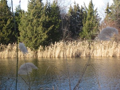 Sunken Meadow State Park - Image 2