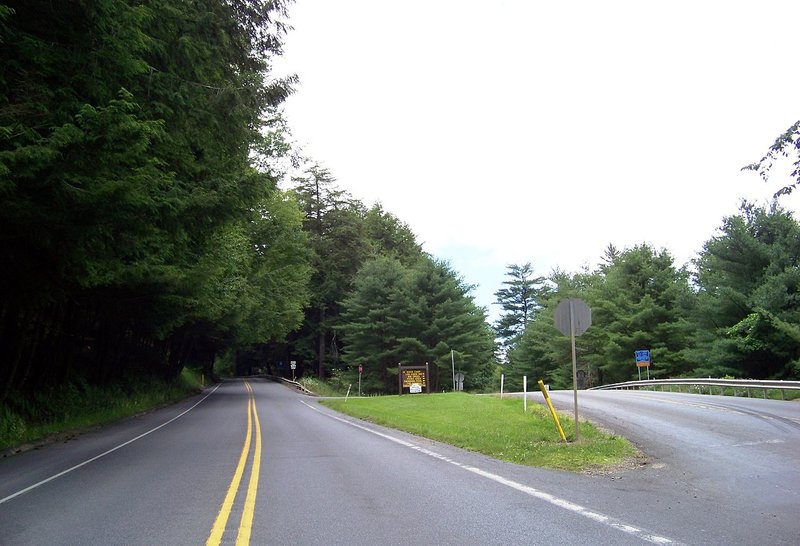 Cook Forest State Park