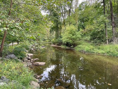 Ridley Creek State Park - Image 2